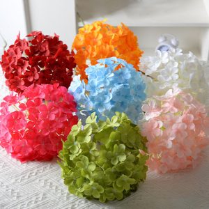 decorative flowers/plants