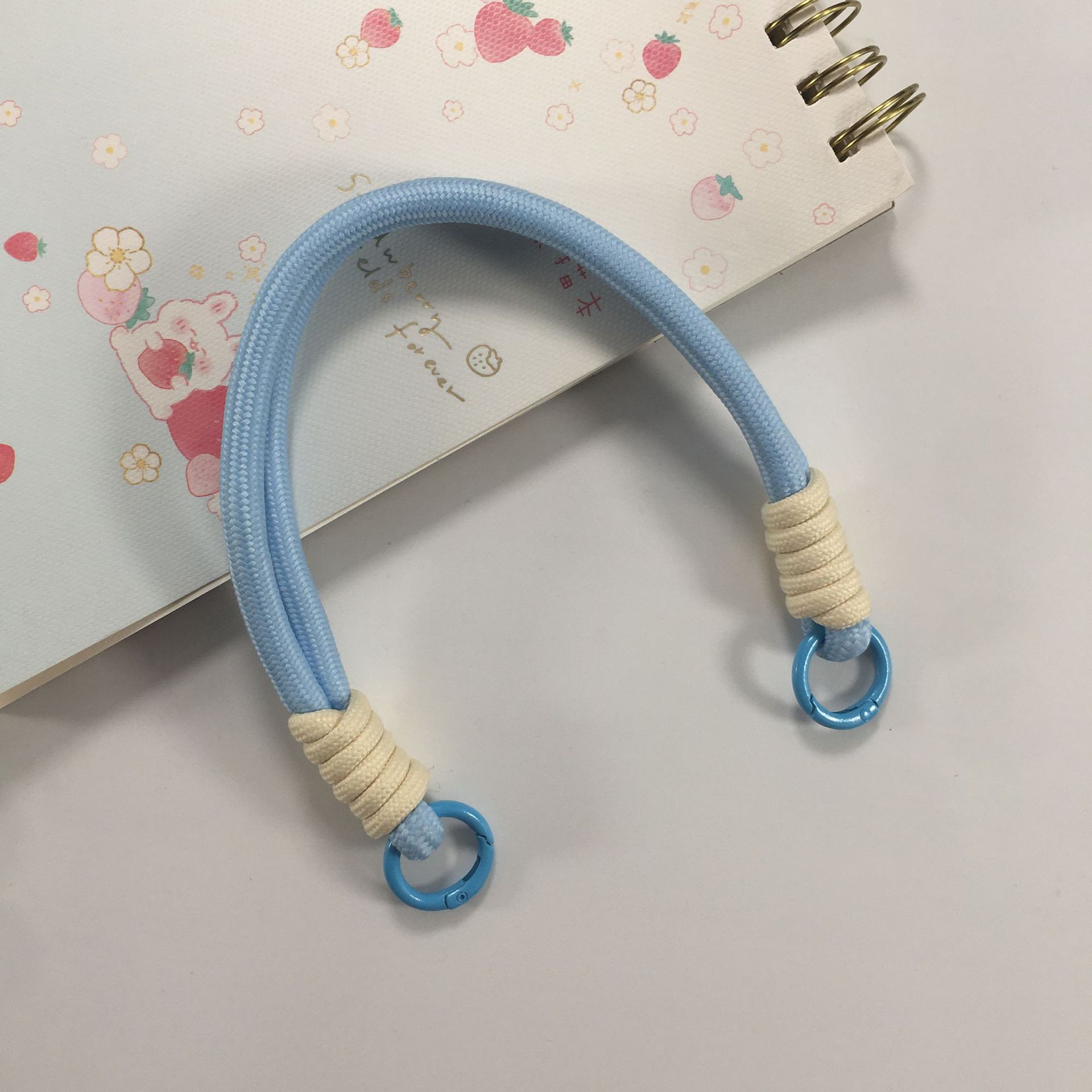 Mobile phone lanyard, mobile phone accessory